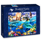 Oceans of Life – 1000 Piece Jigsaw Puzzle (Bluebird Puzzle)