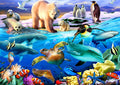 Bluebird Puzzle 70288 Oceans of Life 1000 piece jigsaw puzzle