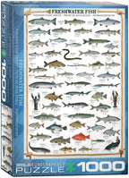 Freshwater Fish – 1000 Piece Jigsaw Puzzle (Eurographics)