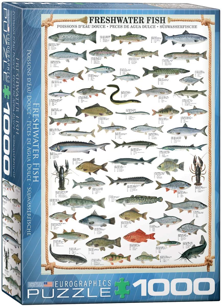 Freshwater Fish – 1000 Piece Jigsaw Puzzle (Eurographics)