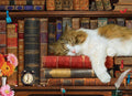 Cat Nap Tin – 1000 Piece Jigsaw Puzzle (Eurographics)