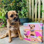 Nibbles with Nora – 1000 Piece Jigsaw Puzzle (Gibsons)