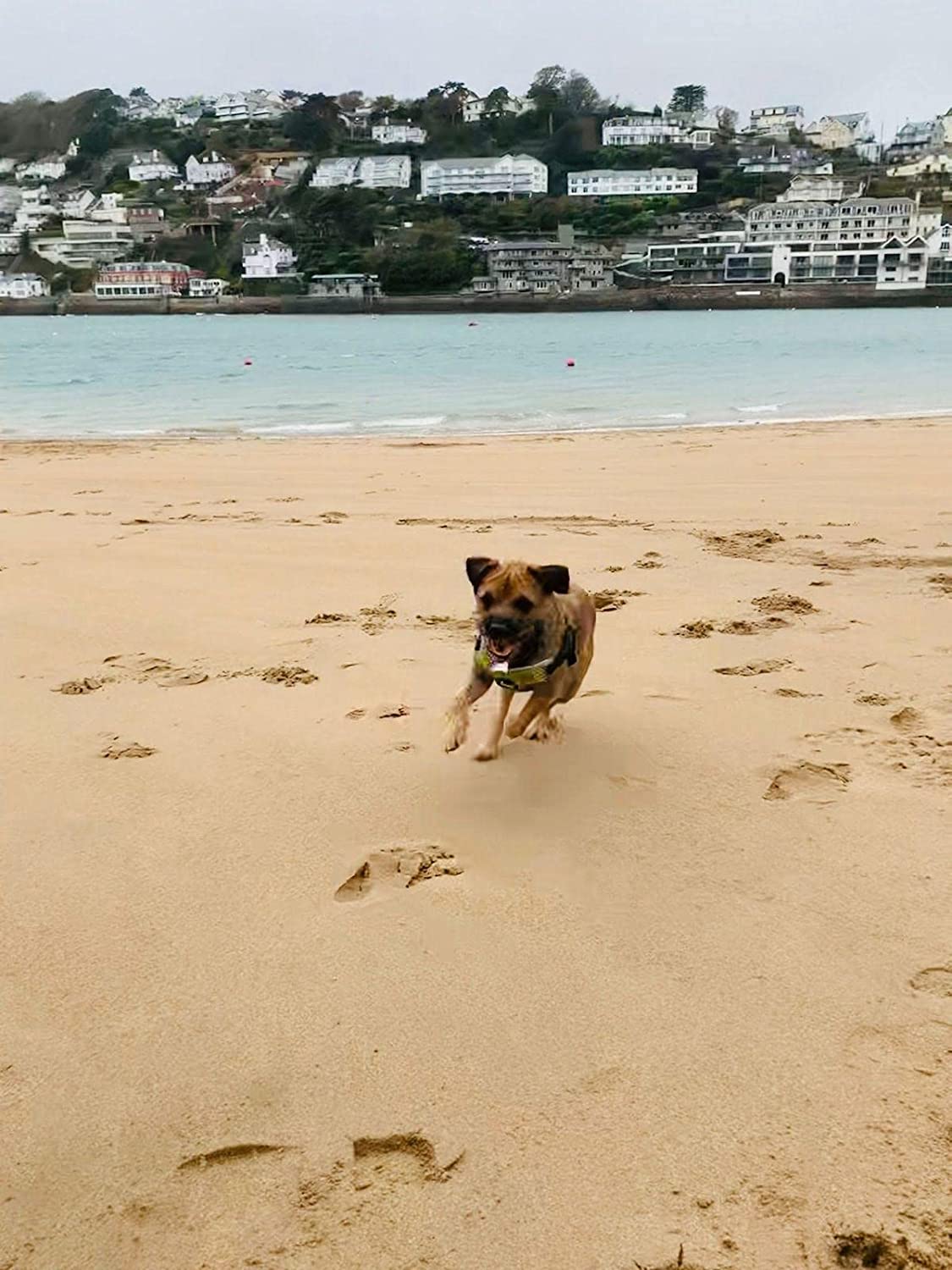 Nibbles with Nora – 1000 Piece Jigsaw Puzzle (Gibsons)