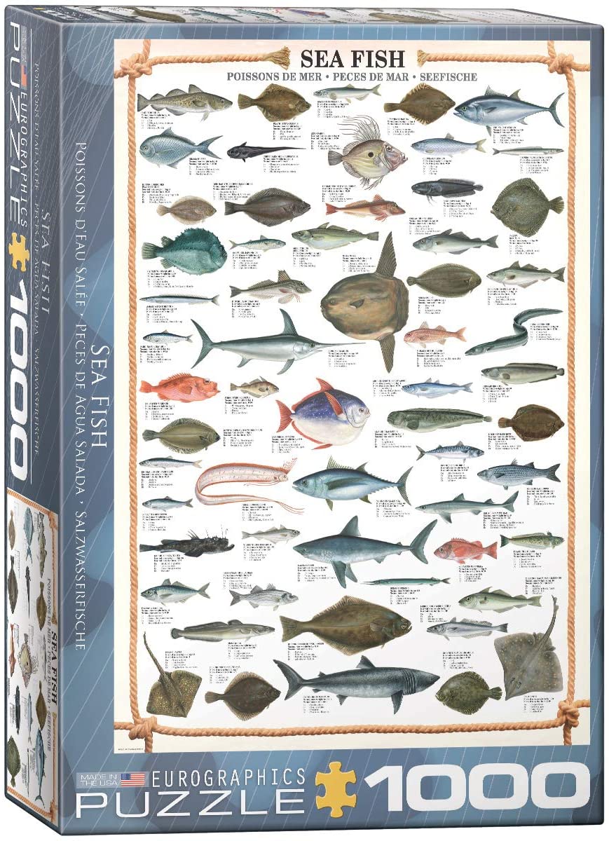 Sea Fish – 1000 Piece Jigsaw Puzzle (Eurographics)