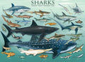 Shraks – 1000 Piece Jigsaw Puzzle (Eurographics)