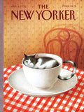 Cattuccino – 1000 Piece Jigsaw Puzzle (New York Puzzle Company)