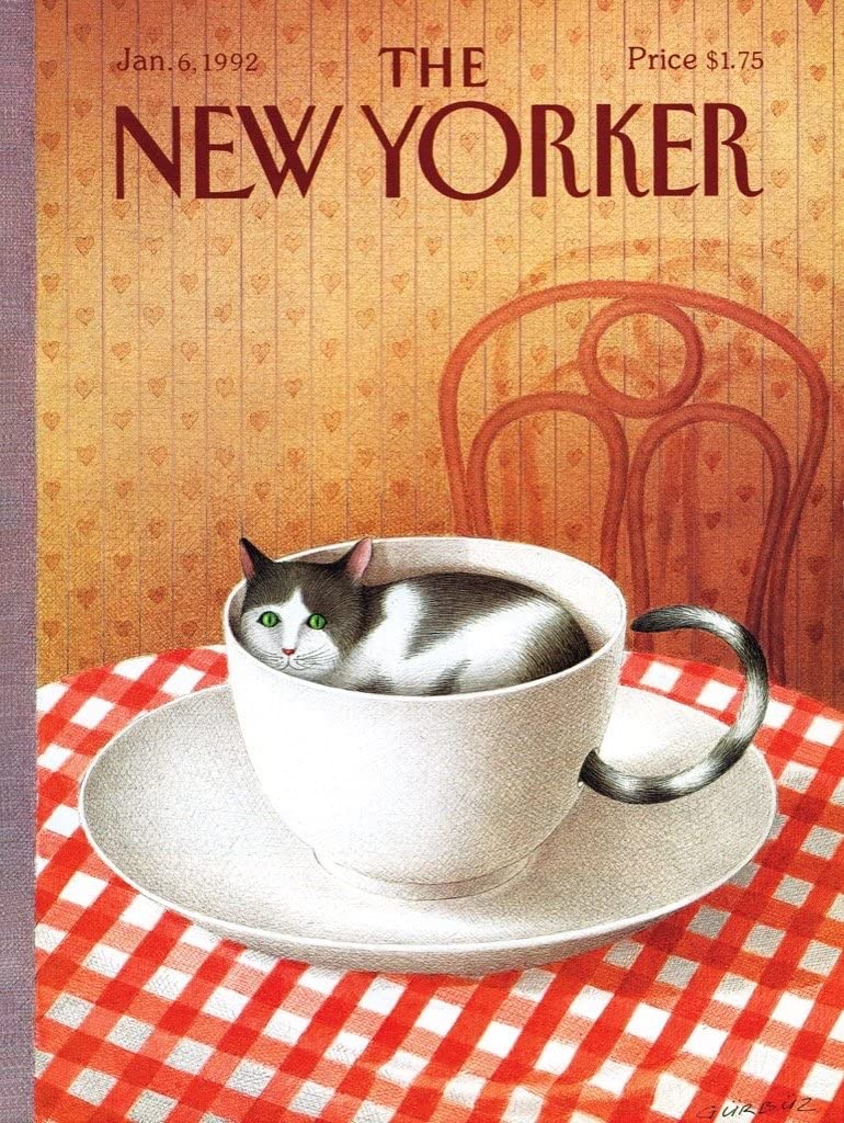 Cattuccino – 1000 Piece Jigsaw Puzzle (New York Puzzle Company)