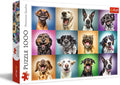 Funny Dog Portraits – 1000 Piece Jigsaw Puzzle (Trefl)