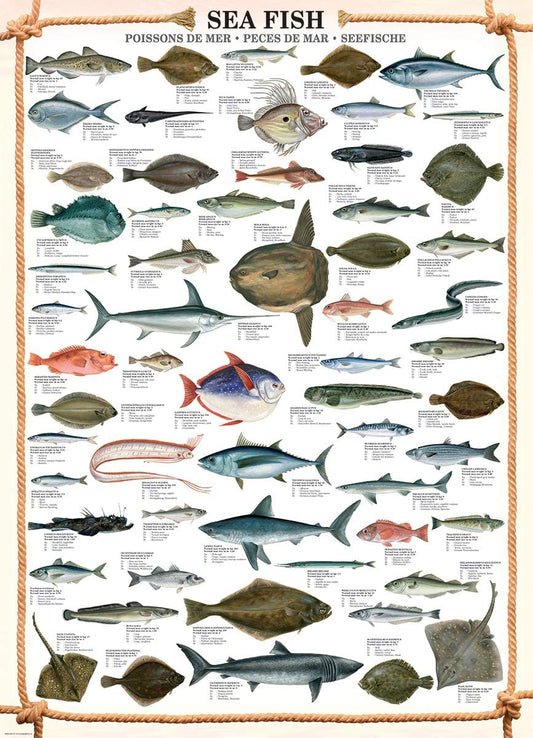Eurographics -  Sea Fish - 1000 Piece Jigsaw Puzzle