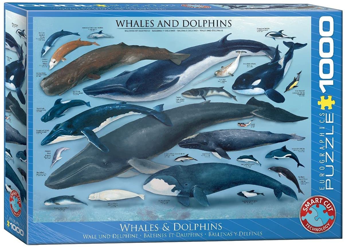 Whales & Dolphins – 1000 Piece Jigsaw Puzzle (Eurographics)
