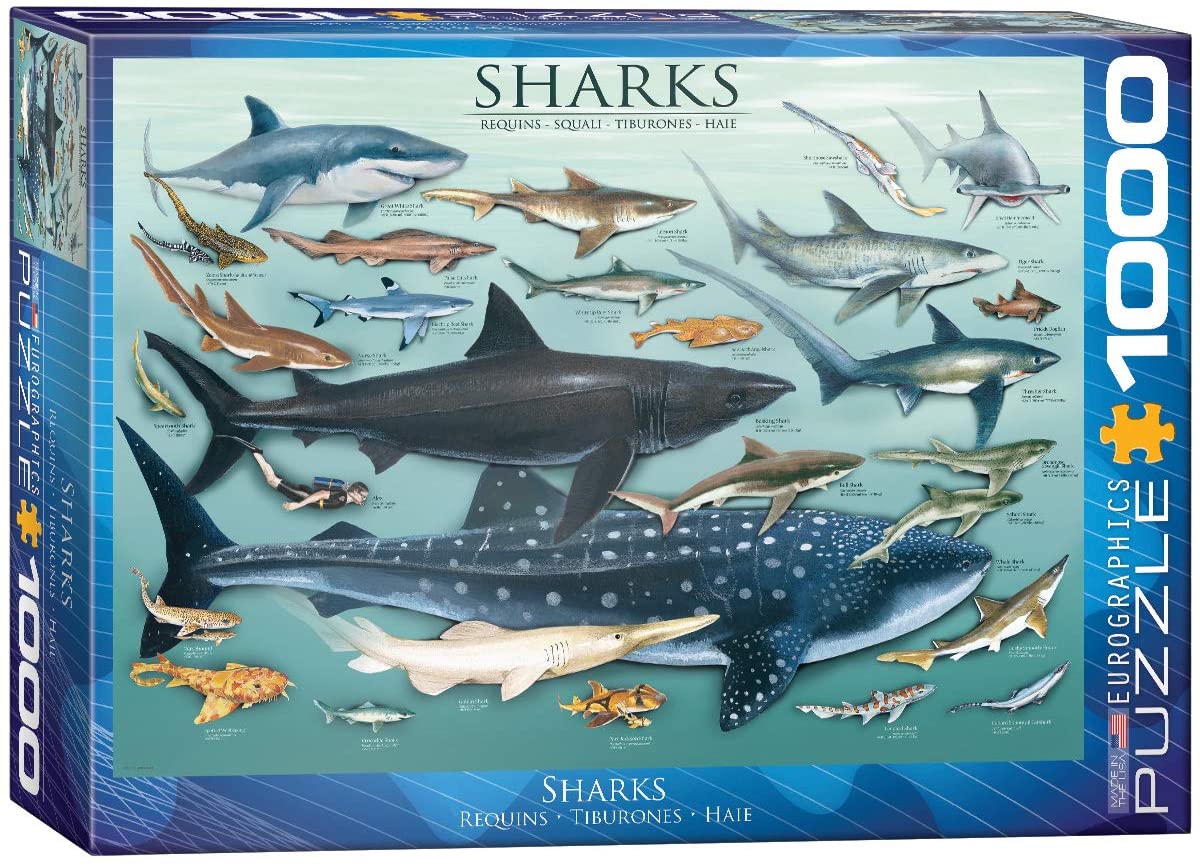 Shraks – 1000 Piece Jigsaw Puzzle (Eurographics)