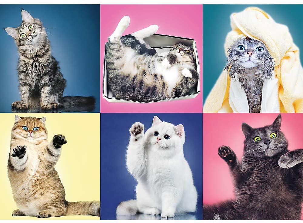 Kittens – 500 Piece Jigsaw Puzzle (Trefl)