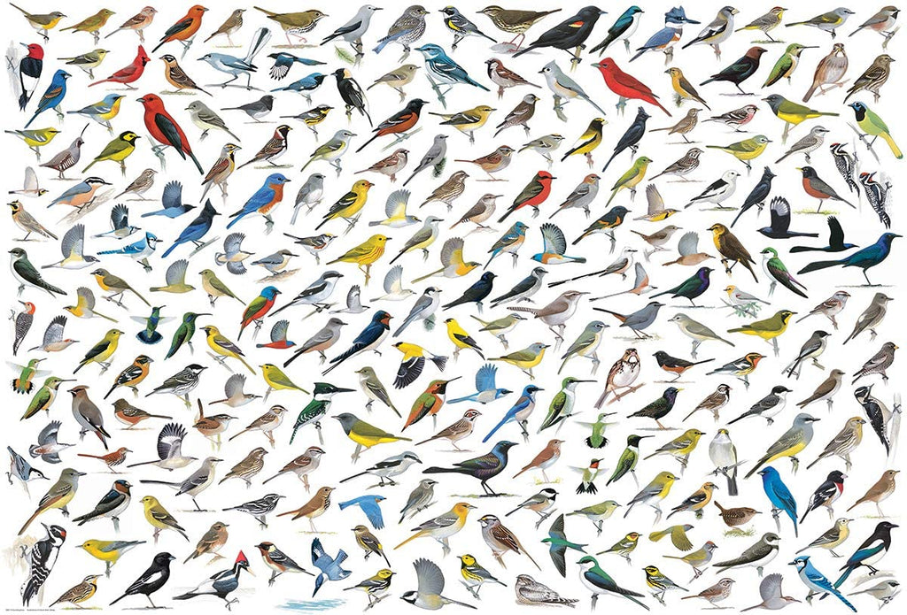 The World of Birds – 2000 Piece Jigsaw Puzzle (Eurographics)
