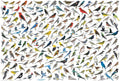 The World of Birds – 2000 Piece Jigsaw Puzzle (Eurographics)