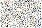 The World of Birds – 2000 Piece Jigsaw Puzzle (Eurographics)