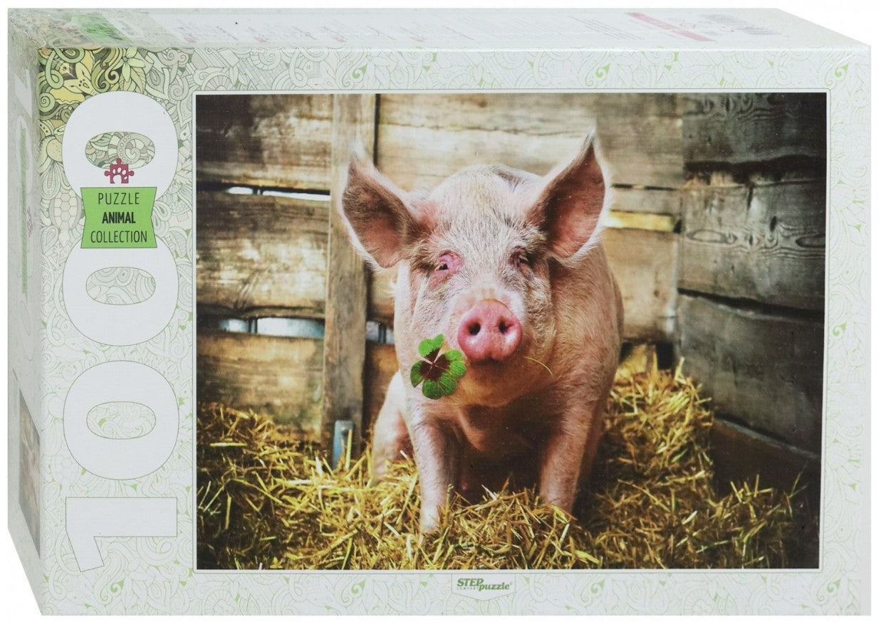 Year 2019 in China – 1000 Piece Jigsaw Puzzle (Step Puzzle)