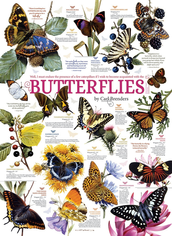 Butterfly Collection – 1000 Piece Jigsaw Puzzle (Cobble Hill)