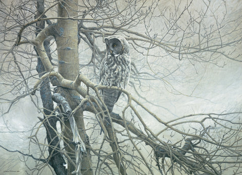 Ghost of the North – 1000 Piece Jigsaw Puzzle (Cobble Hill)