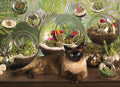 Terrarium Cat – 1000 Piece Jigsaw Puzzle (Cobble Hill)