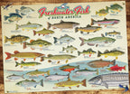 Freshwater Fish of North America – 1000 Piece Jigsaw Puzzle (Cobble Hill)