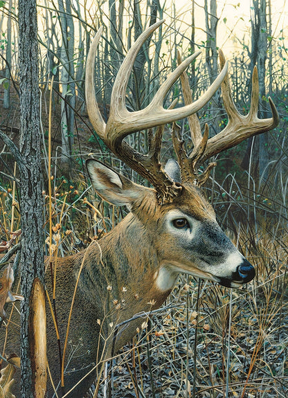 Cobble Hill - White-tailed Deer - 1000 Piece Jigsaw Puzzle