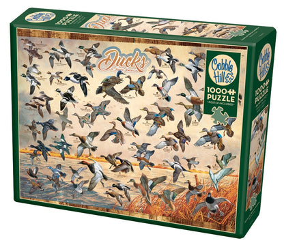 Cobble Hill - Ducks of North America - 1000 Piece Jigsaw Puzzle