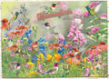 Hummingbirds – 1000 Piece Jigsaw Puzzle (Cobble Hill)