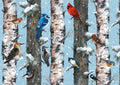 Birds – 1000 Piece Jigsaw Puzzle (Piatnik)
