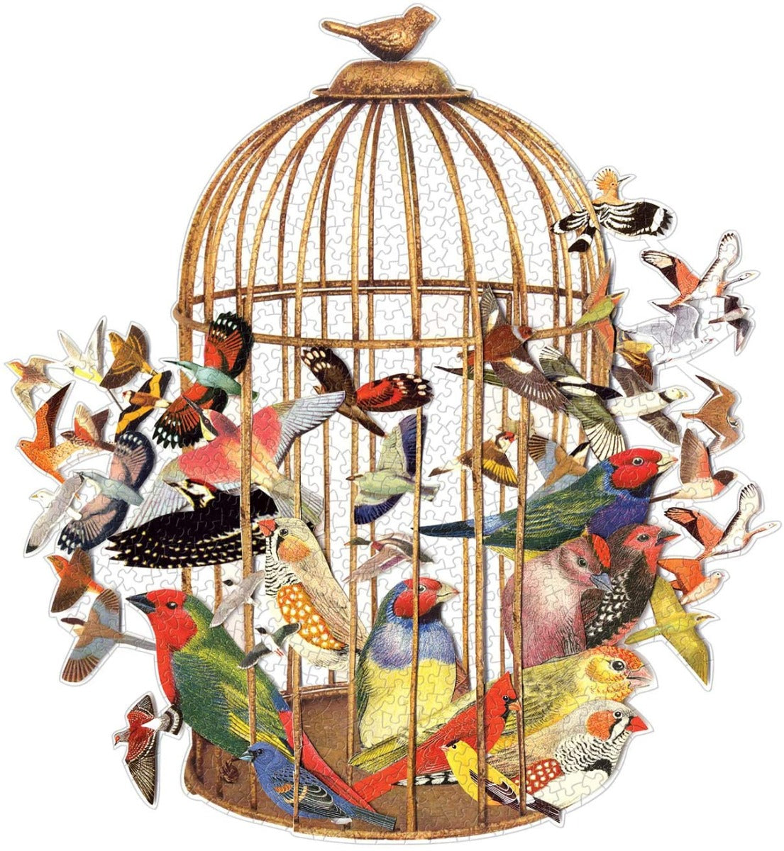 Bouquet of Birds – 750 Piece Jigsaw Puzzle (Galison)