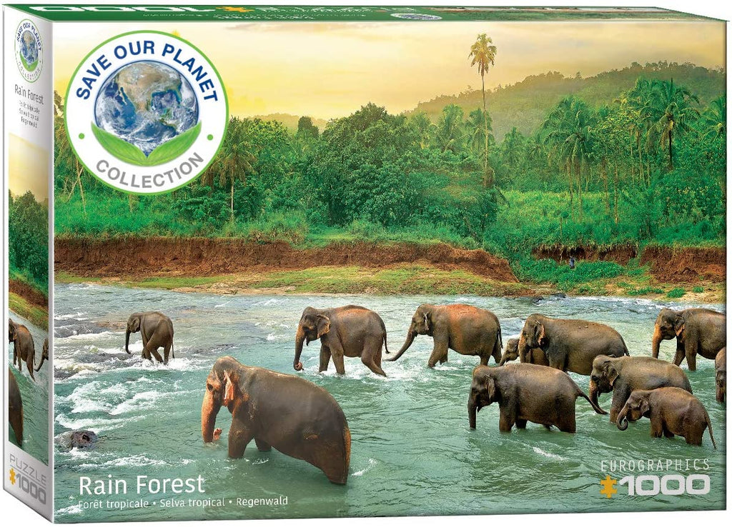 Rain Forest – 1000 Piece Jigsaw Puzzle (Eurographics)