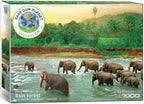 Rain Forest – 1000 Piece Jigsaw Puzzle (Eurographics)