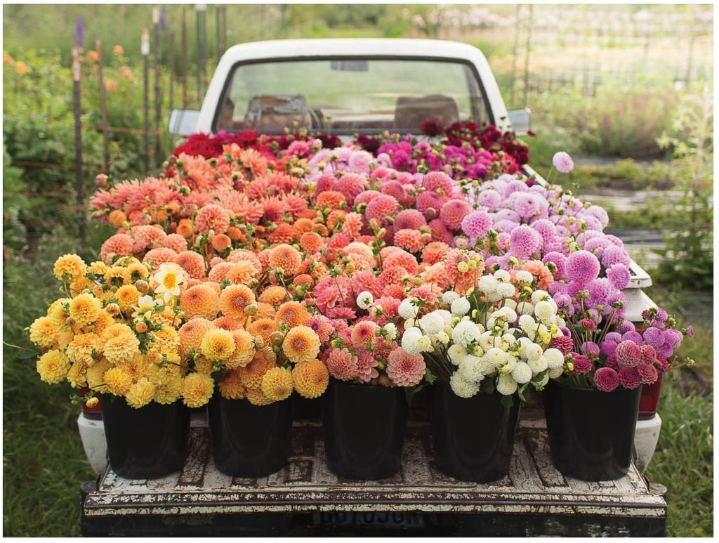 Floret Farm's Cut Flower Garden – 500 Piece Jigsaw Puzzle (Galison)