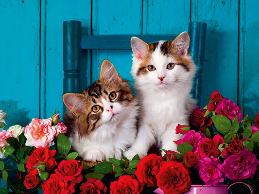 Ravensburger - Kittens and Roses - 500 Piece Jigsaw Puzzle