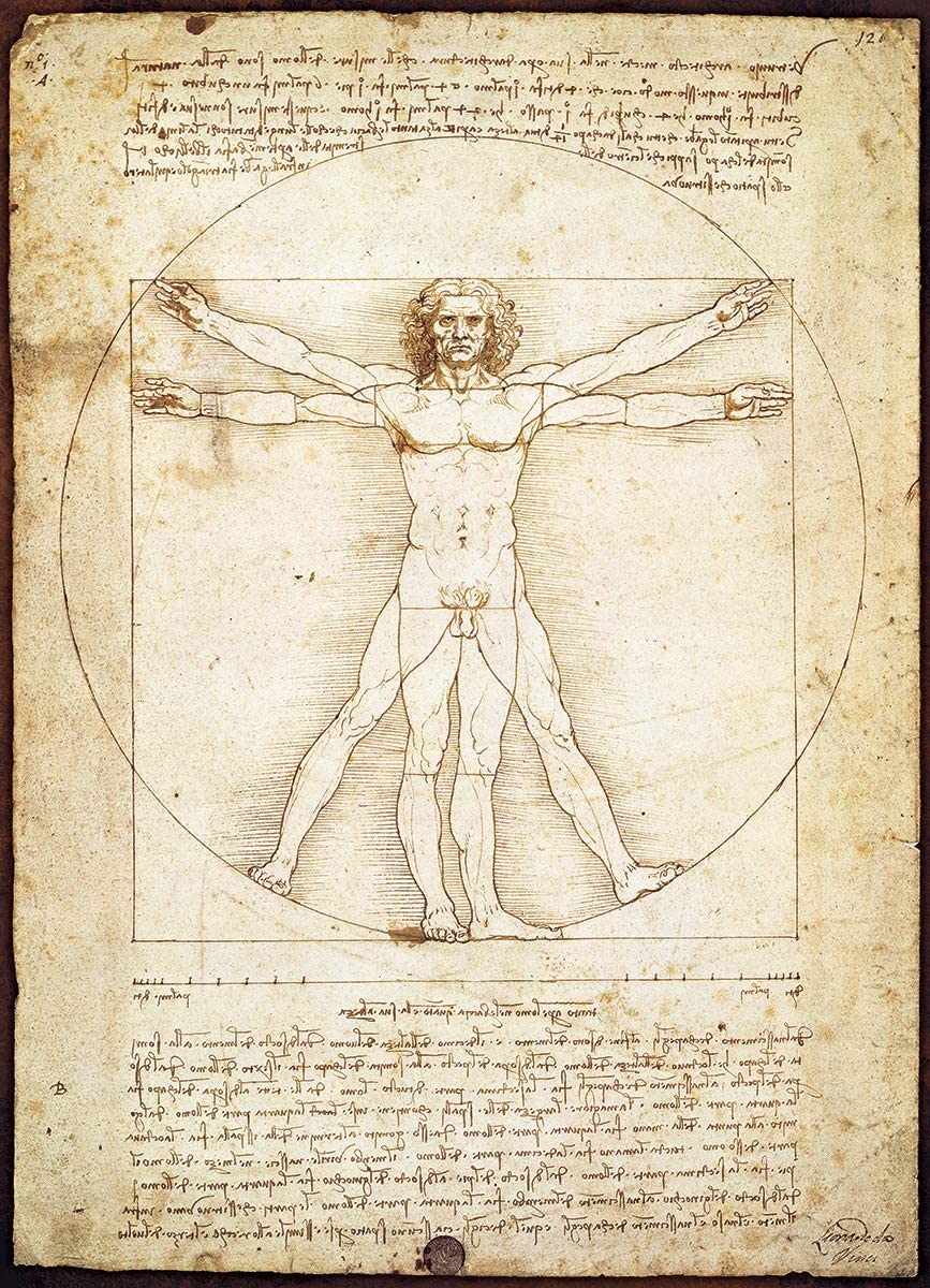 Eurographics - The Vitruvian Man by Leonardo da Vinci - 1000 Piece Jigsaw Puzzles