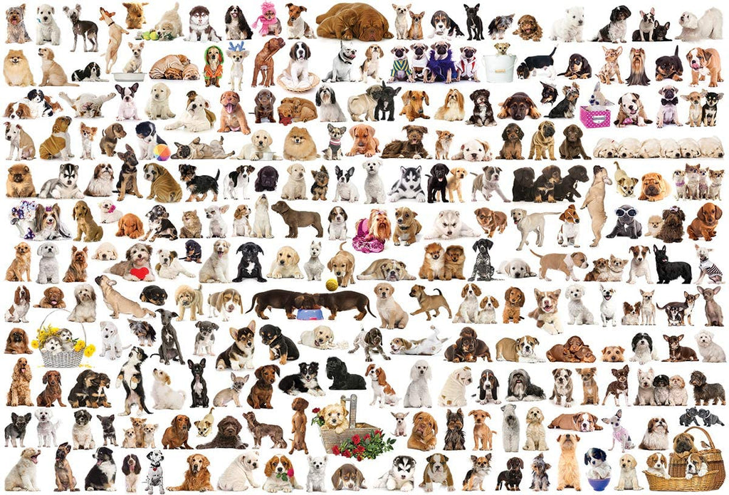 The World of Dogs – 2000 Piece Jigsaw Puzzle (Eurographics)