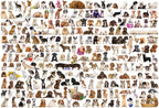 The World of Dogs – 2000 Piece Jigsaw Puzzle (Eurographics)