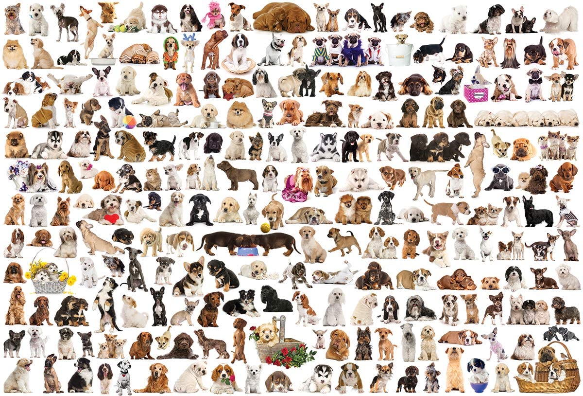 The World of Dogs – 2000 Piece Jigsaw Puzzle (Eurographics)