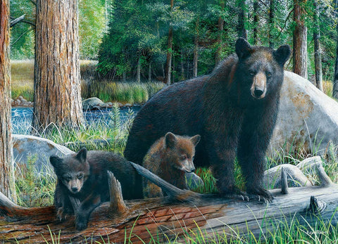 New Discoveries – 1000 Piece Jigsaw Puzzle (Eurographics)