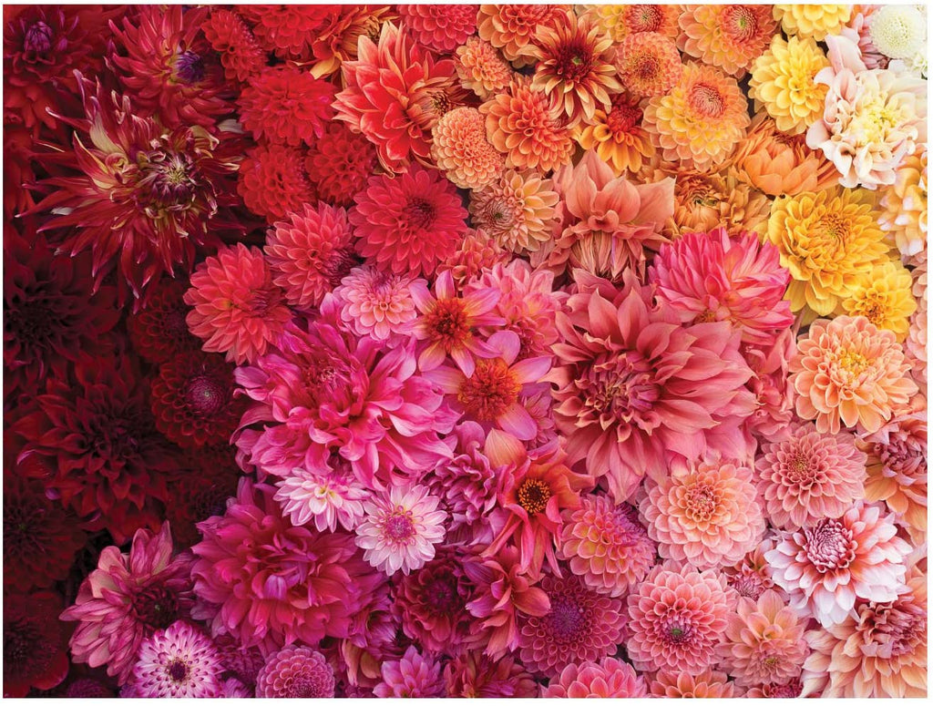 Floret Farm's Cut Flower Garden – 500 Piece Jigsaw Puzzle (Galison)