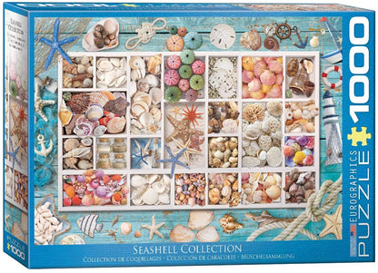 Eurographics - Seashell Collection - 1000 Piece Jigsaw Puzzle