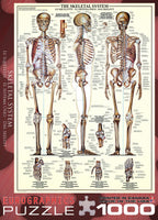 The Skeletal System – 1000 Piece Jigsaw Puzzle (Eurographics)