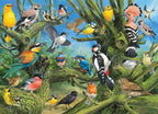 Garden Birds – 1000 Piece Jigsaw Puzzle (Eurographics)