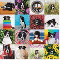 Artwork: Momo The Do – 500 Piece Jigsaw Puzzle (Galison)
