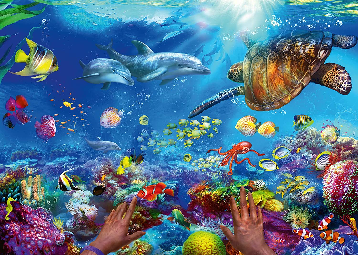 Snorkeling – 1000 Piece Jigsaw Puzzle (Ravensburger)