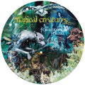Harry Potter Magical Creatures – 500 Piece Jigsaw Puzzle (Winning Moves)