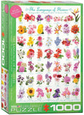 The Language of Flowers – 1000 Piece Jigsaw Puzzle (Eurographics)