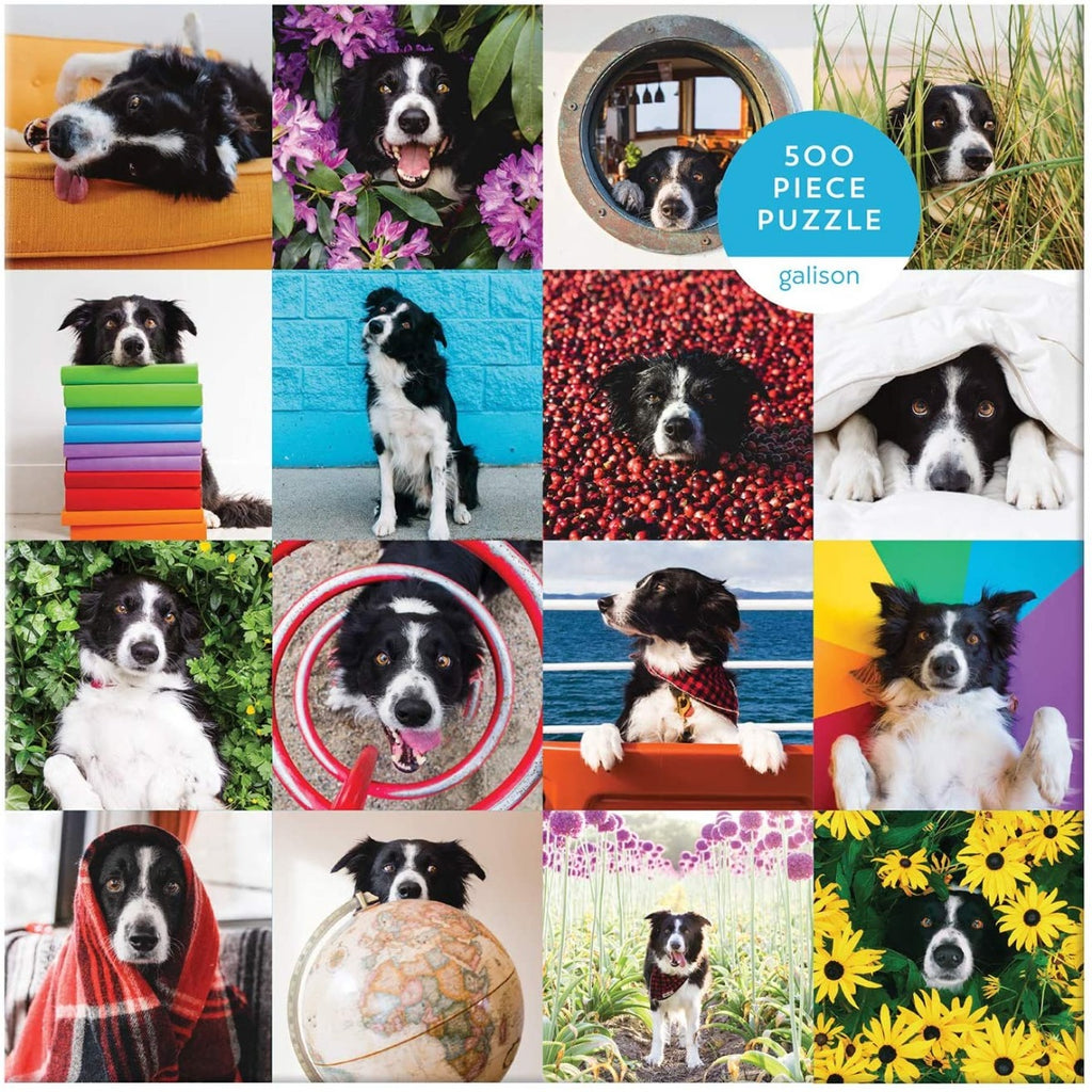 Momo The Do – 500 Piece Jigsaw Puzzle (Galison)