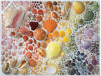 Rainbow Seashells – 2000 Piece Jigsaw Puzzle (Galison)
