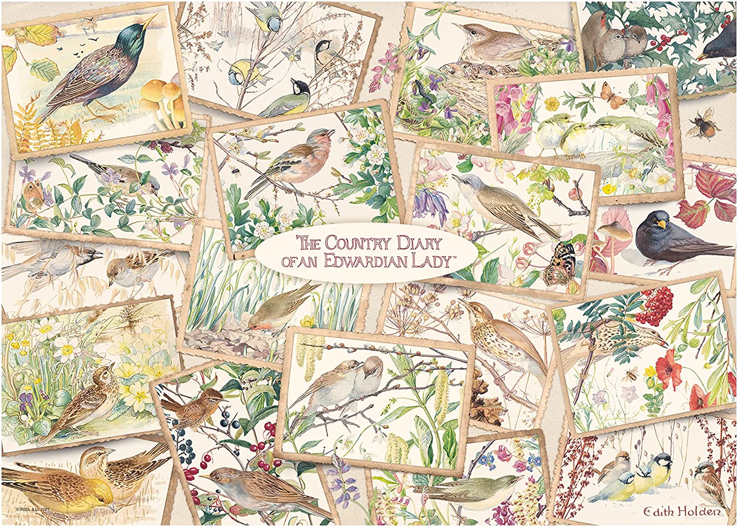 Country Diary Postcards – 1000 Piece Jigsaw Puzzle (Falcon De Luxe)