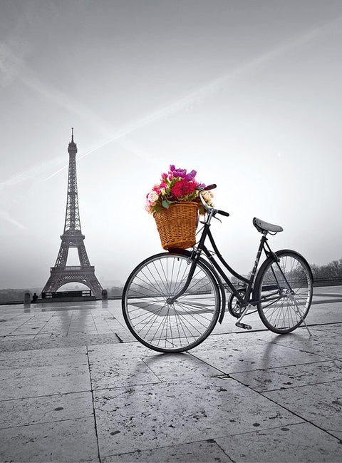 Romantic Promenade in Paris – 500 Piece Jigsaw Puzzle (Clementoni)